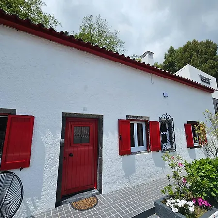 Cozy House In With Mountain View