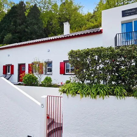 Cozy House In With Mountain View Furnas (Azores)
